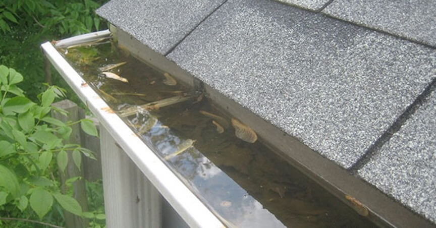 Standing water in clogged gutters showing potential damage risks