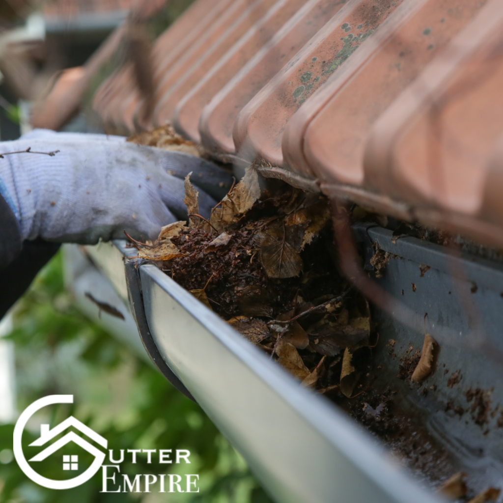 gutter cleaning, gutter cleaning washington, gutter empire