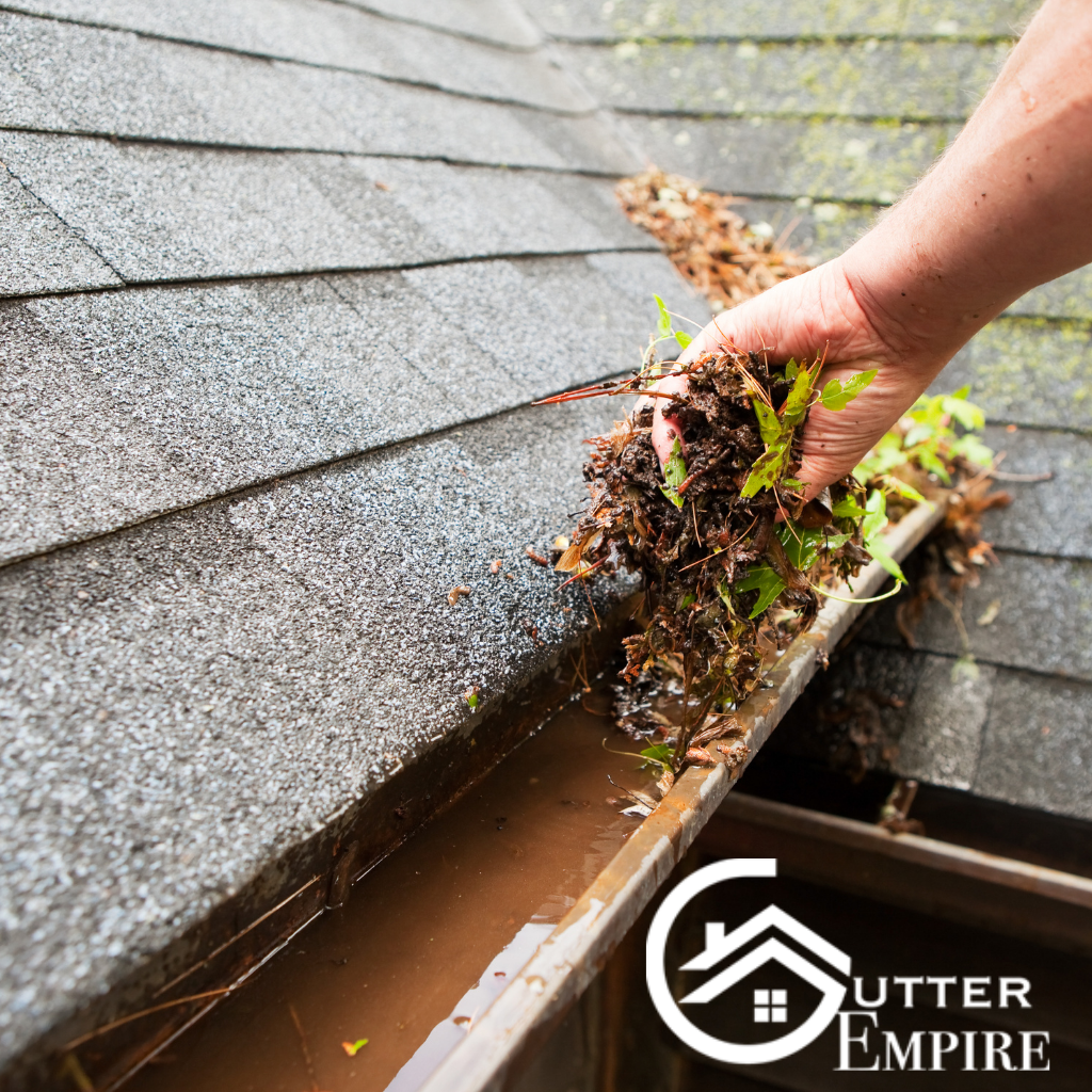 gutter cleaning, gutter cleaning washington, gutter empire